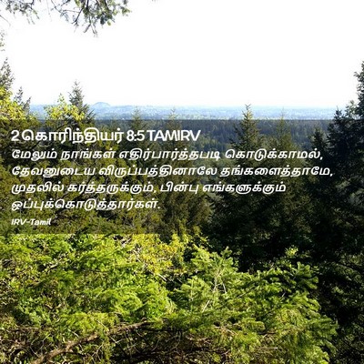 Picture 02 - 2 கொரிந்தியர் 8:5 TAMIRV - மேலும் நாங்கள் - Bible Verse Picture