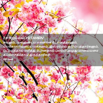 Picture 02 - 2 சாமுவேல் 1:12 TAMIRV - சவுலும், அவனுடைய - Bible Verse Picture