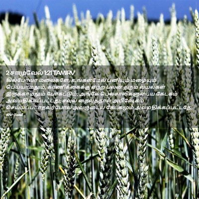 Picture 02 - 2 சாமுவேல் 1:21 TAMIRV - கில்போவா மலைகளே, - Bible Verse Picture