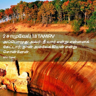 Picture 02 - 2 சாமுவேல் 1:8 TAMIRV - அப்பொழுது அவர்: நீ - Bible Verse Picture