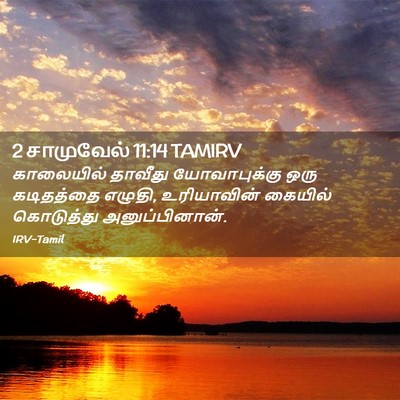 Picture 02 - 2 சாமுவேல் 11:14 TAMIRV - காலையில் தாவீது - Bible Verse Picture