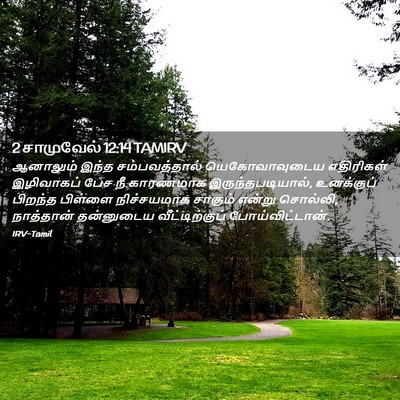 Picture 02 - 2 சாமுவேல் 12:14 TAMIRV - ஆனாலும் இந்த - Bible Verse Picture