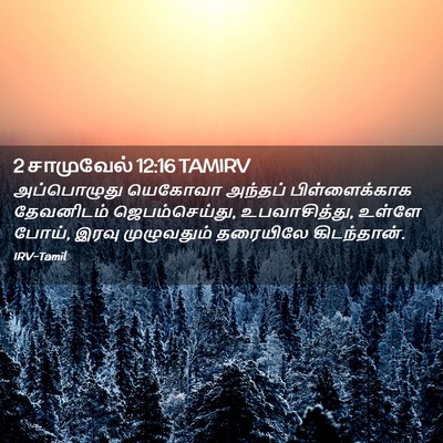 Picture 02 - 2 சாமுவேல் 12:16 TAMIRV - அப்பொழுது யெகோவா - Bible Verse Picture