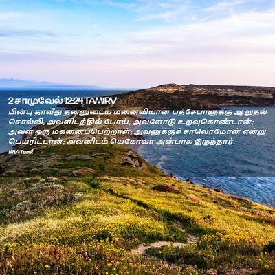 Picture 02 - 2 சாமுவேல் 12:24 TAMIRV - பின்பு தாவீது - Bible Verse Picture