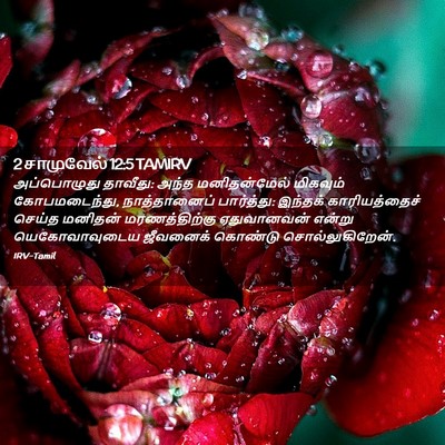 Picture 02 - 2 சாமுவேல் 12:5 TAMIRV - அப்பொழுது தாவீது: - Bible Verse Picture