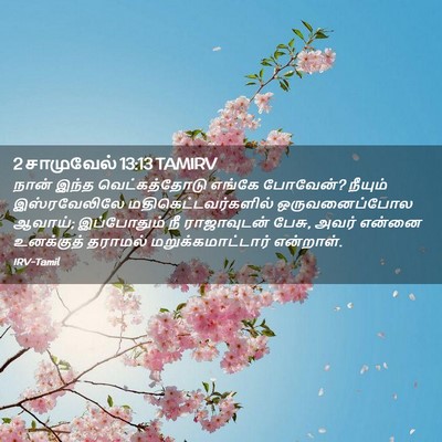 Picture 02 - 2 சாமுவேல் 13:13 TAMIRV - நான் இந்த - Bible Verse Picture