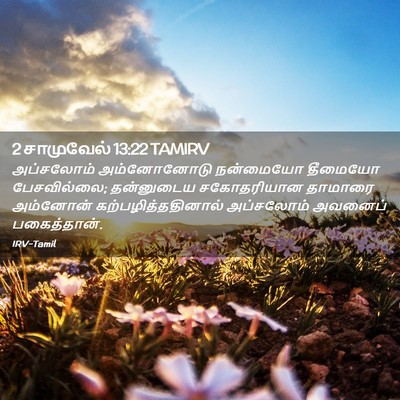 Picture 02 - 2 சாமுவேல் 13:22 TAMIRV - அப்சலோம் - Bible Verse Picture