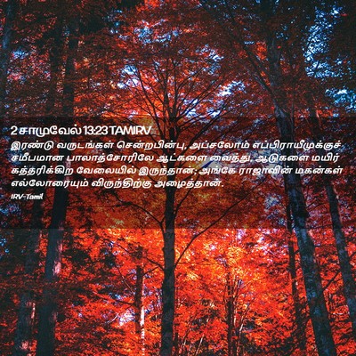 Picture 02 - 2 சாமுவேல் 13:23 TAMIRV - இரண்டு வருடங்கள் - Bible Verse Picture