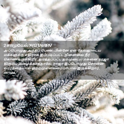 Picture 02 - 2 சாமுவேல் 14:13 TAMIRV - அப்பொழுது அந்தப் - Bible Verse Picture