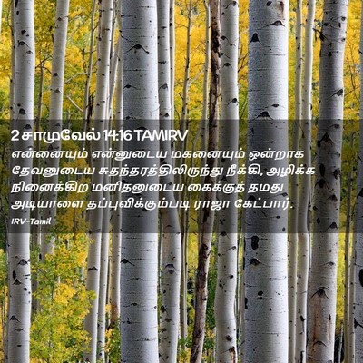 Picture 02 - 2 சாமுவேல் 14:16 TAMIRV - என்னையும் - Bible Verse Picture