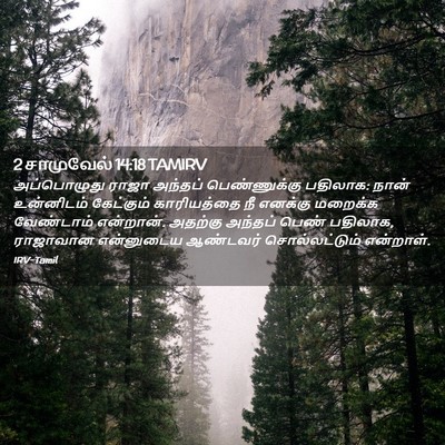 Picture 02 - 2 சாமுவேல் 14:18 TAMIRV - அப்பொழுது ராஜா - Bible Verse Picture