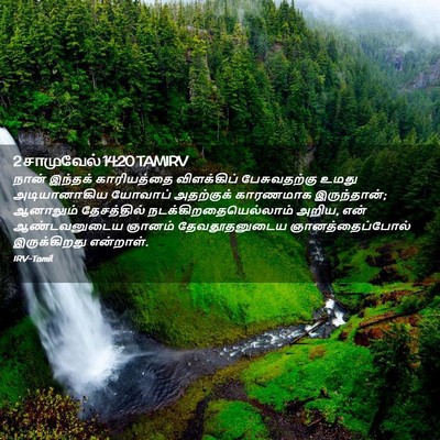Picture 02 - 2 சாமுவேல் 14:20 TAMIRV - நான் இந்தக் - Bible Verse Picture