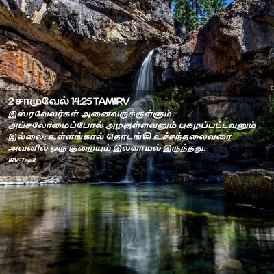 Picture 02 - 2 சாமுவேல் 14:25 TAMIRV - இஸ்ரவேலர்கள் - Bible Verse Picture