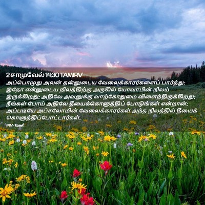 Picture 02 - 2 சாமுவேல் 14:30 TAMIRV - அப்பொழுது அவன் - Bible Verse Picture