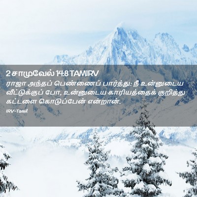 Picture 02 - 2 சாமுவேல் 14:8 TAMIRV - ராஜா அந்தப் - Bible Verse Picture