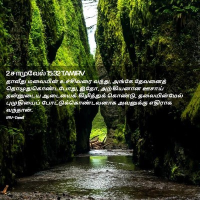 Picture 02 - 2 சாமுவேல் 15:32 TAMIRV - தாவீது மலையின் - Bible Verse Picture