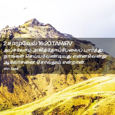 Picture 02 - 2 சாமுவேல் 16:20 TAMIRV - அப்சலோம் - Bible Verse Picture