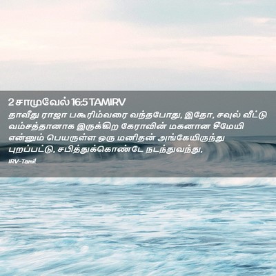 Picture 02 - 2 சாமுவேல் 16:5 TAMIRV - தாவீது ராஜா - Bible Verse Picture