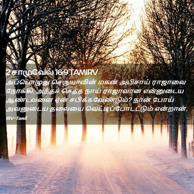 Picture 02 - 2 சாமுவேல் 16:9 TAMIRV - அப்பொழுது - Bible Verse Picture