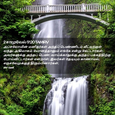 Picture 02 - 2 சாமுவேல் 17:20 TAMIRV - அப்சலோமின் - Bible Verse Picture