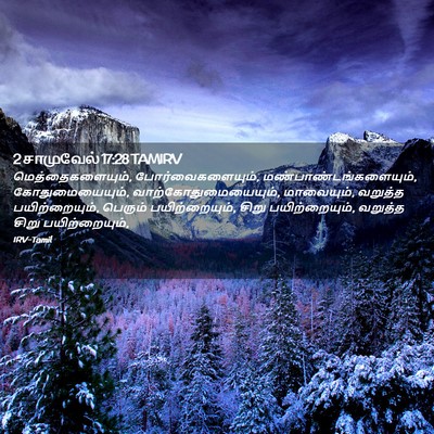 Picture 02 - 2 சாமுவேல் 17:28 TAMIRV - மெத்தைகளையும், - Bible Verse Picture