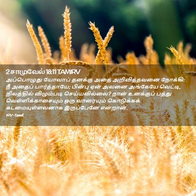 Picture 02 - 2 சாமுவேல் 18:11 TAMIRV - அப்பொழுது யோவாப் - Bible Verse Picture