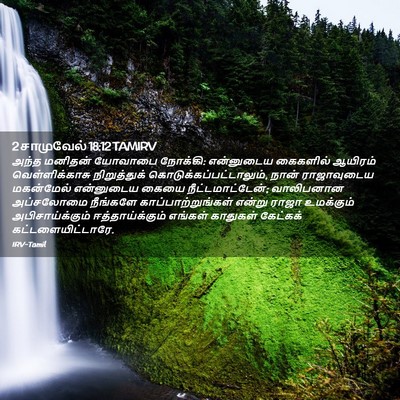 Picture 02 - 2 சாமுவேல் 18:12 TAMIRV - அந்த மனிதன் - Bible Verse Picture