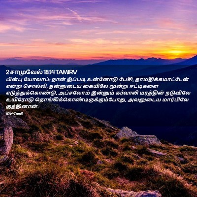 Picture 02 - 2 சாமுவேல் 18:14 TAMIRV - பின்பு யோவாப்: - Bible Verse Picture