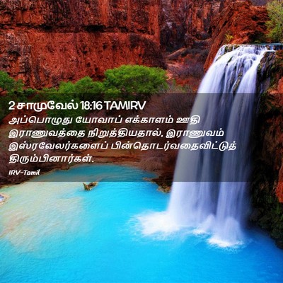 Picture 02 - 2 சாமுவேல் 18:16 TAMIRV - அப்பொழுது யோவாப் - Bible Verse Picture