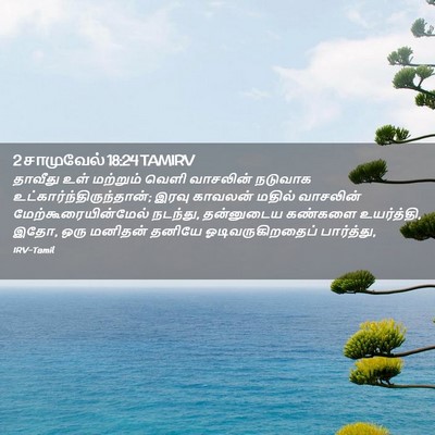 Picture 02 - 2 சாமுவேல் 18:24 TAMIRV - தாவீது உள் - Bible Verse Picture