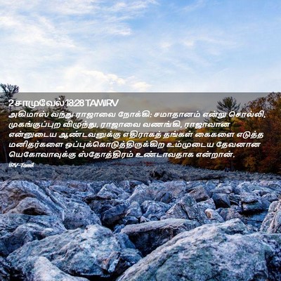 Picture 02 - 2 சாமுவேல் 18:28 TAMIRV - அகிமாஸ் வந்து - Bible Verse Picture
