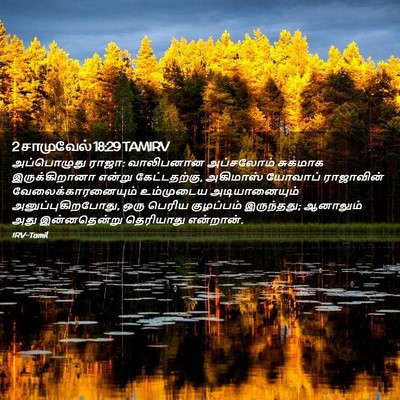 Picture 02 - 2 சாமுவேல் 18:29 TAMIRV - அப்பொழுது ராஜா: - Bible Verse Picture