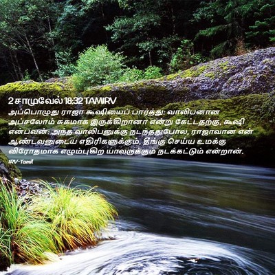 Picture 02 - 2 சாமுவேல் 18:32 TAMIRV - அப்பொழுது ராஜா - Bible Verse Picture