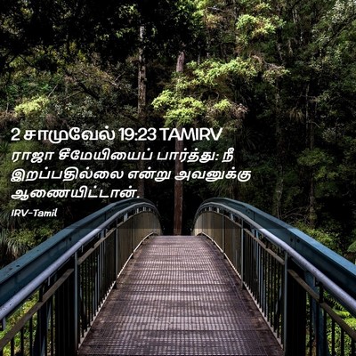 Picture 02 - 2 சாமுவேல் 19:23 TAMIRV - ராஜா சீமேயியைப் - Bible Verse Picture