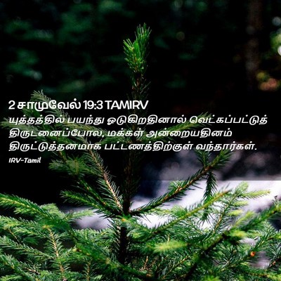 Picture 02 - 2 சாமுவேல் 19:3 TAMIRV - யுத்தத்தில் - Bible Verse Picture