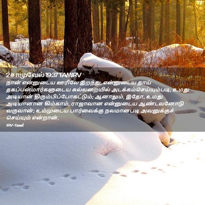 Picture 02 - 2 சாமுவேல் 19:37 TAMIRV - நான் என்னுடைய - Bible Verse Picture