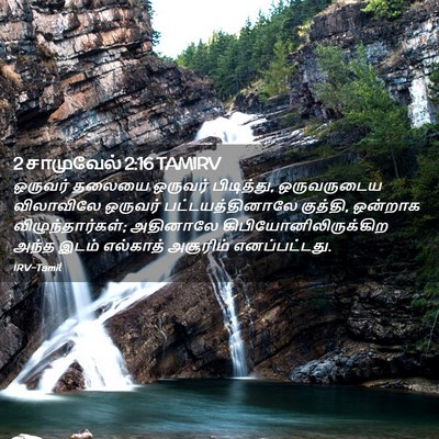 Picture 02 - 2 சாமுவேல் 2:16 TAMIRV - ஒருவர் தலையை - Bible Verse Picture