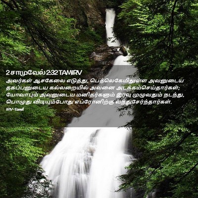 Picture 02 - 2 சாமுவேல் 2:32 TAMIRV - அவர்கள் ஆசகேலை - Bible Verse Picture