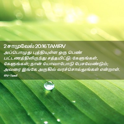Picture 02 - 2 சாமுவேல் 20:16 TAMIRV - அப்பொழுது - Bible Verse Picture