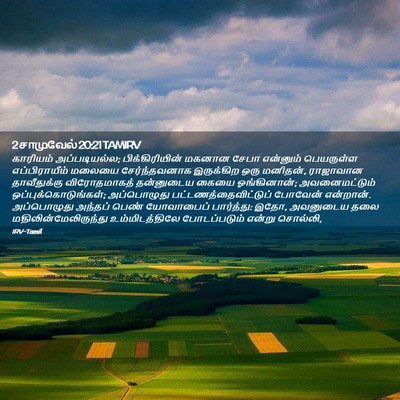 Picture 02 - 2 சாமுவேல் 20:21 TAMIRV - காரியம் - Bible Verse Picture