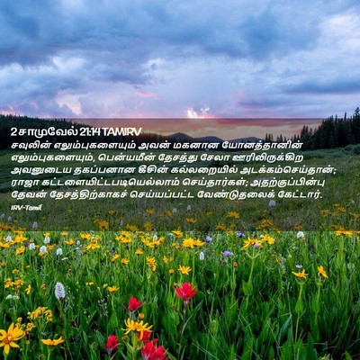 Picture 02 - 2 சாமுவேல் 21:14 TAMIRV - சவுலின் - Bible Verse Picture