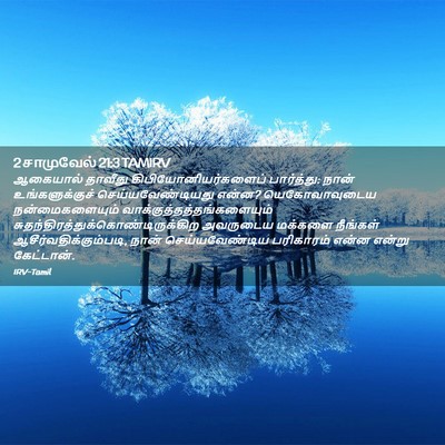 Picture 02 - 2 சாமுவேல் 21:3 TAMIRV - ஆகையால் தாவீது - Bible Verse Picture