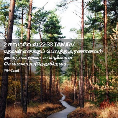 Picture 02 - 2 சாமுவேல் 22:33 TAMIRV - தேவன் எனக்குப் - Bible Verse Picture