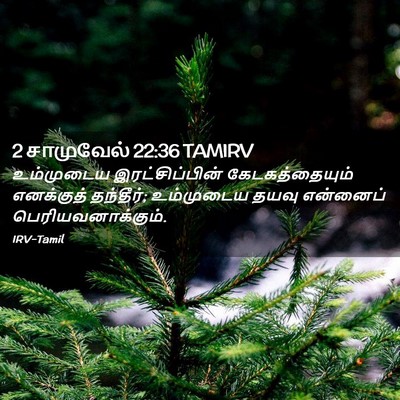Picture 02 - 2 சாமுவேல் 22:36 TAMIRV - உம்முடைய - Bible Verse Picture