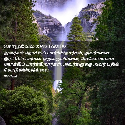 Picture 02 - 2 சாமுவேல் 22:42 TAMIRV - அவர்கள் நோக்கிப் - Bible Verse Picture