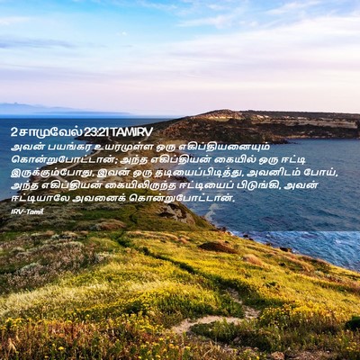 Picture 02 - 2 சாமுவேல் 23:21 TAMIRV - அவன் பயங்கர - Bible Verse Picture