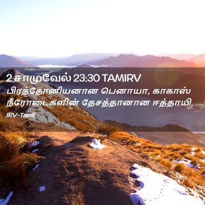 Picture 02 - 2 சாமுவேல் 23:30 TAMIRV - பிரத்தோனியனான - Bible Verse Picture