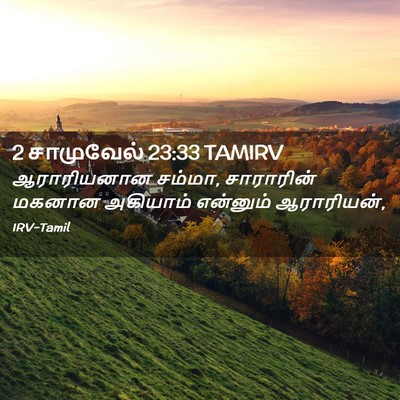 Picture 02 - 2 சாமுவேல் 23:33 TAMIRV - ஆராரியனான சம்மா, - Bible Verse Picture