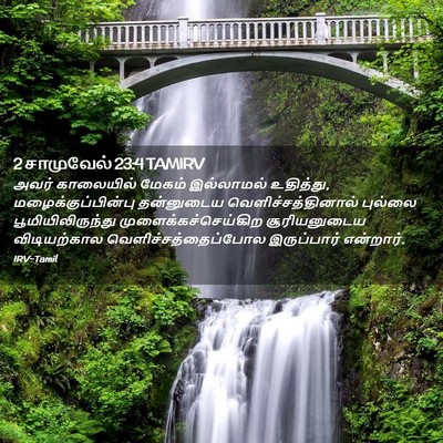Picture 02 - 2 சாமுவேல் 23:4 TAMIRV - அவர் காலையில் - Bible Verse Picture