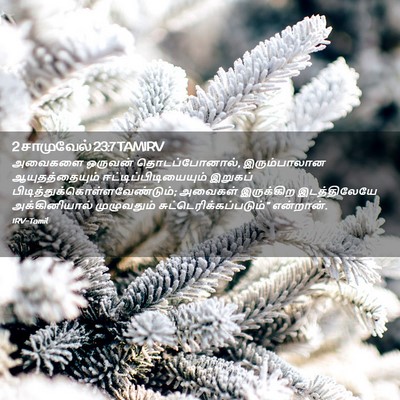 Picture 02 - 2 சாமுவேல் 23:7 TAMIRV - அவைகளை ஒருவன் - Bible Verse Picture